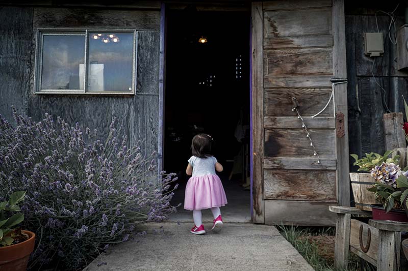 Visiting Lavender Connection Sequim with Toddler